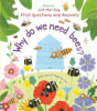Why_do_we_need_bees_
