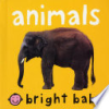 Bright_baby_animals