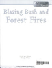 Blazing_bush_and_forest_fires