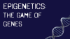 Epigenetics__The_Game_of_Genes