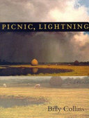 Picnic__lightning