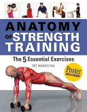 Anatomy_of_strength_training