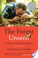 The_forest_unseen