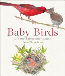Baby_birds