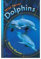 Wild_about_dolphins
