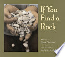 If_You_Find_a_Rock