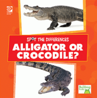 Alligator_or_crocodile_