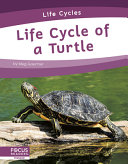 Life_cycle_of_a_turtle