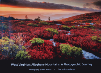 West_Virginia_s_Allegheny_Mountains