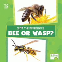 Bee_or_wasp_