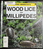 Wood_lice_and_millipedes