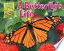 A_butterfly_s_life
