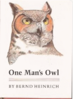One_man_s_owl