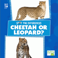 Cheetah_or_leopard_