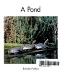A_pond__