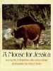 A_moose_for_Jessica