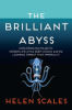 The_brilliant_abyss