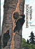 Woodpecker_forest