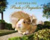A_Guinea_Pig_Pride_and_Prejudice