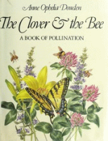 The_clover_and_the_bee